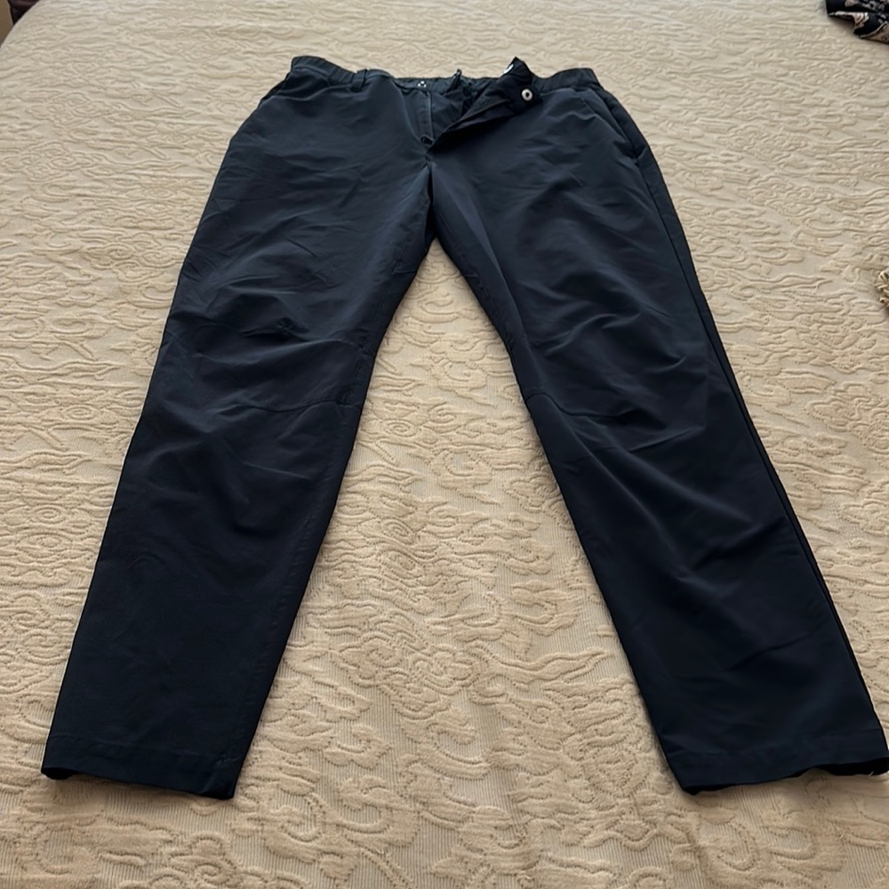 Fabletics The Only Pant (Classic Fit) 31W 31L